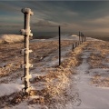 Old fence posts leading to Ben Chonzie summit